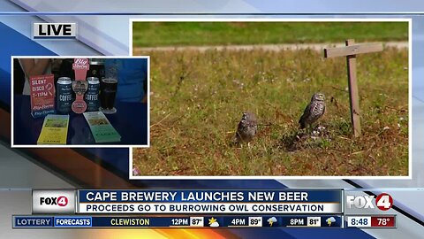 Brewery in Cape Coral launches beer to help burrowing owls - 8:30 am live report