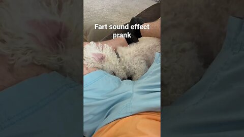 He Thought he TASTED That one 😂