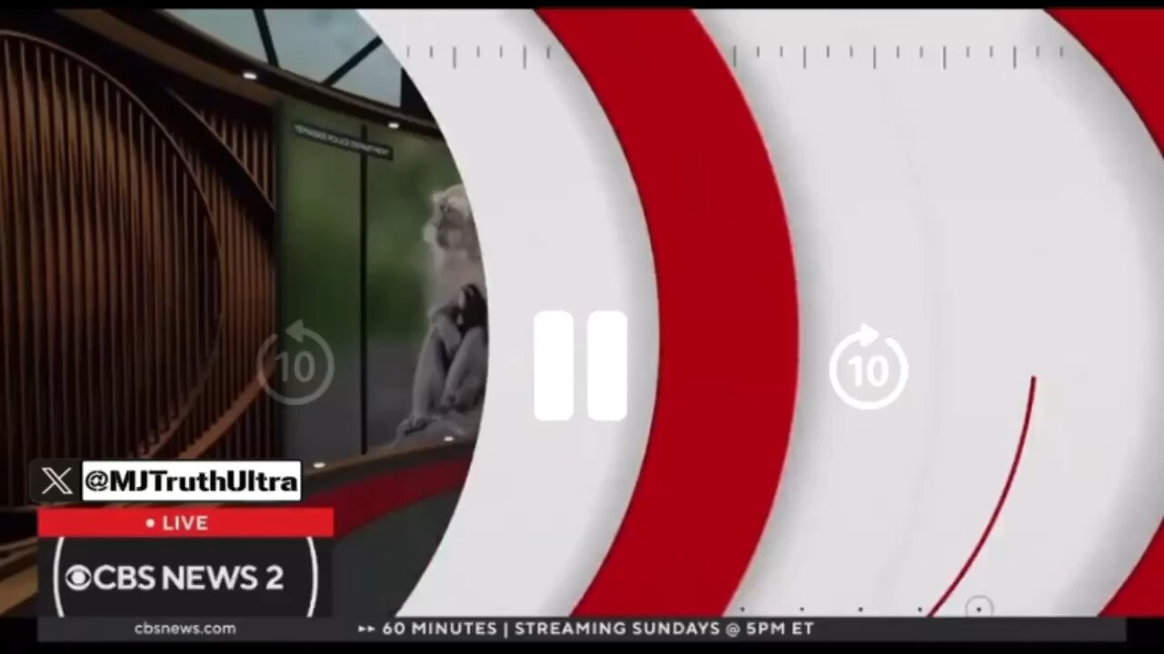 Break out your AR-15‘s boys