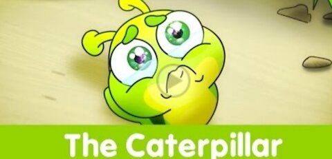 The Caterpillar - Toyor Baby English