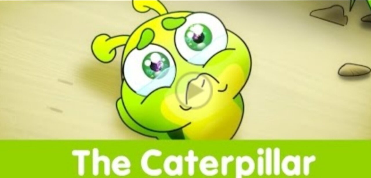 The Caterpillar - Toyor Baby English