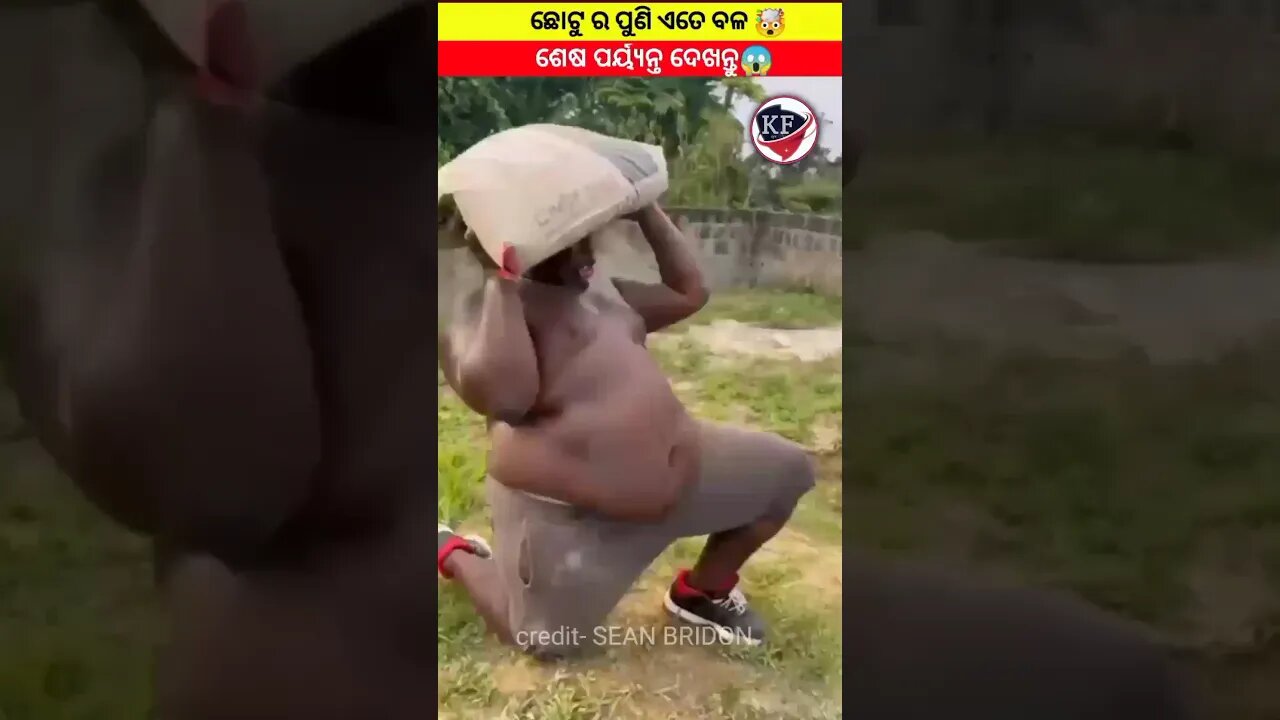 ମୋଟୁ ଉପରେ ସିମେଣ୍ଟ ବସ୍ତା ପଡିଗଲା 😉🤯🤯#odia#gapa#odiastory#youtubeshorts#natiacomedy#odiavlog#shorts#sh