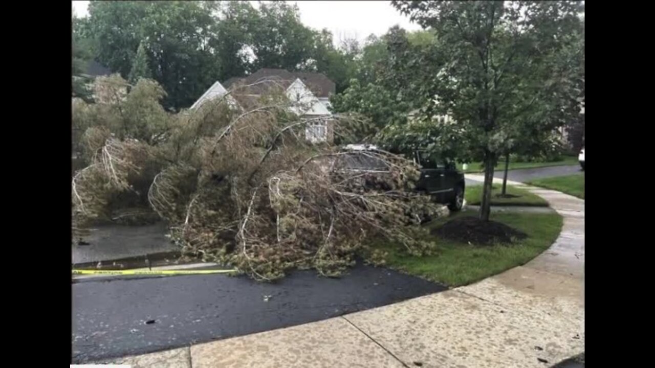 Storms cause damage across metro Detroit