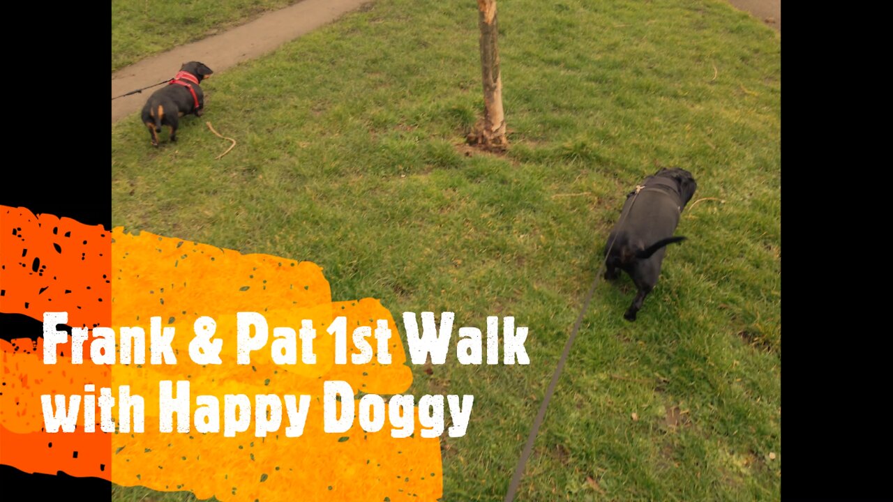 Frank & Pat 1st walk with Happy Doggy