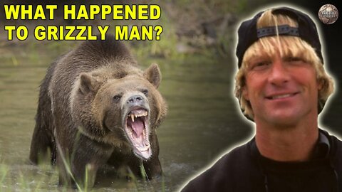 Everything That Had to Go Wrong for 'Grizzly Man' to Meet His Demise