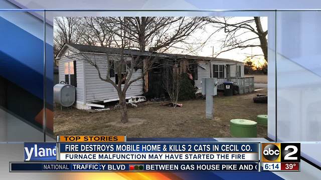 Fire destroys home and kills 2 cats in Cecil Co.