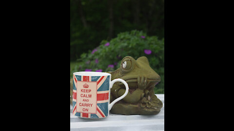 Music And Musings, Episode #133 It’s Friday, June 11, 2021