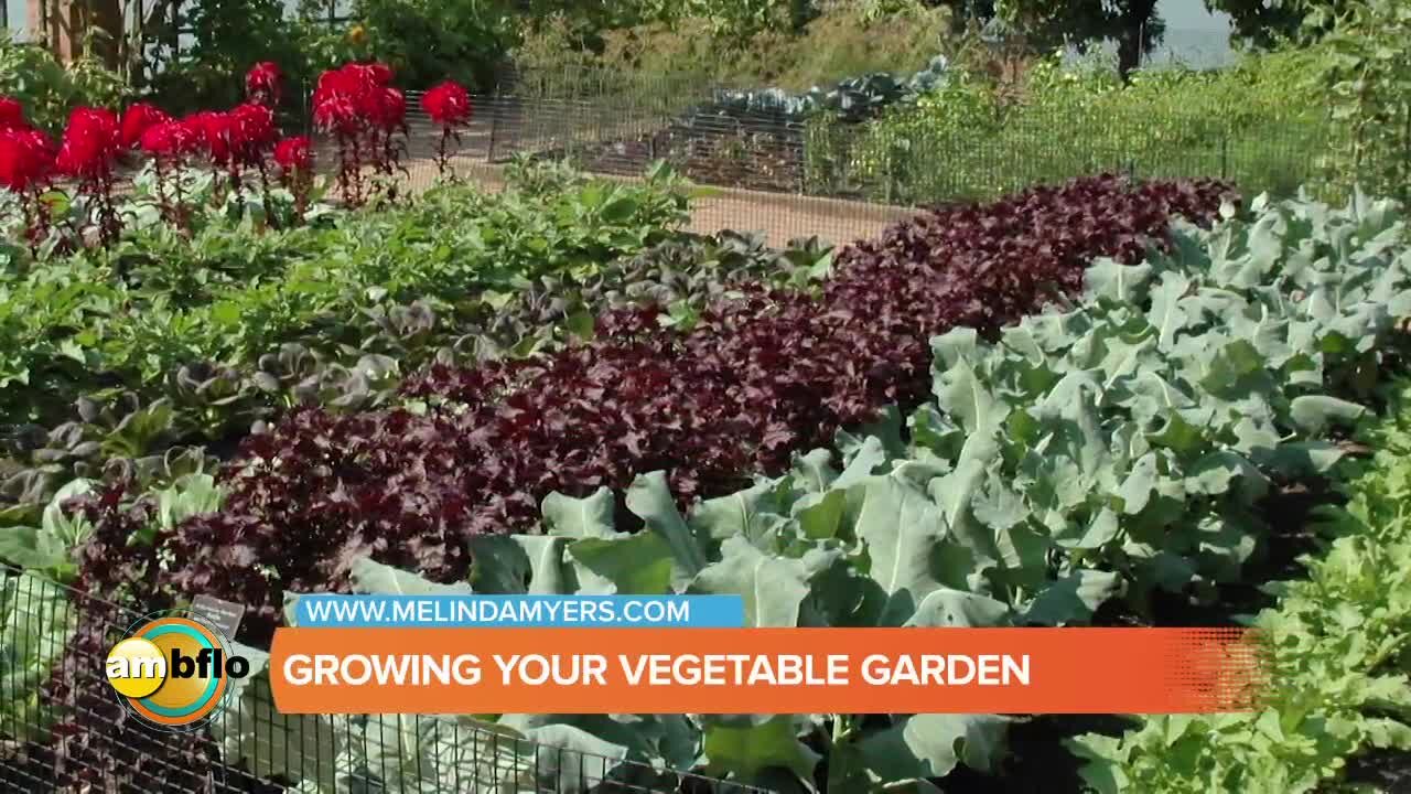 Melinda’s Garden Moment - Beautiful and Productive Vegetable Gardens and Containers