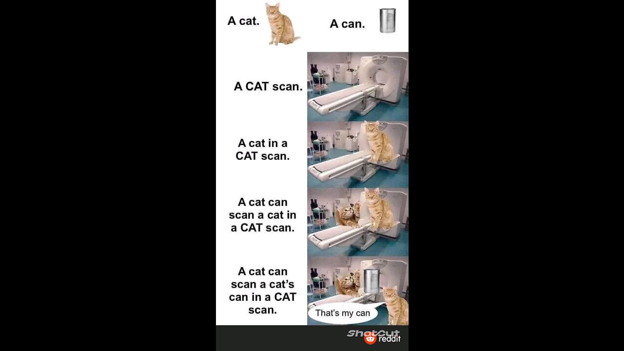 Memes I found on the Doctor Mike Reddit