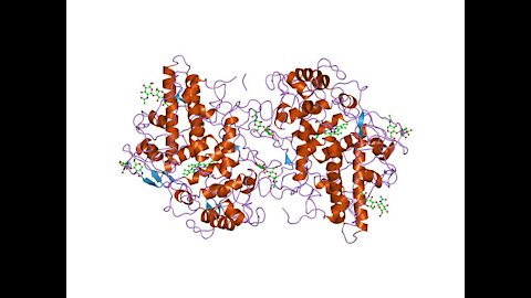 Dissolve nanotech in your body