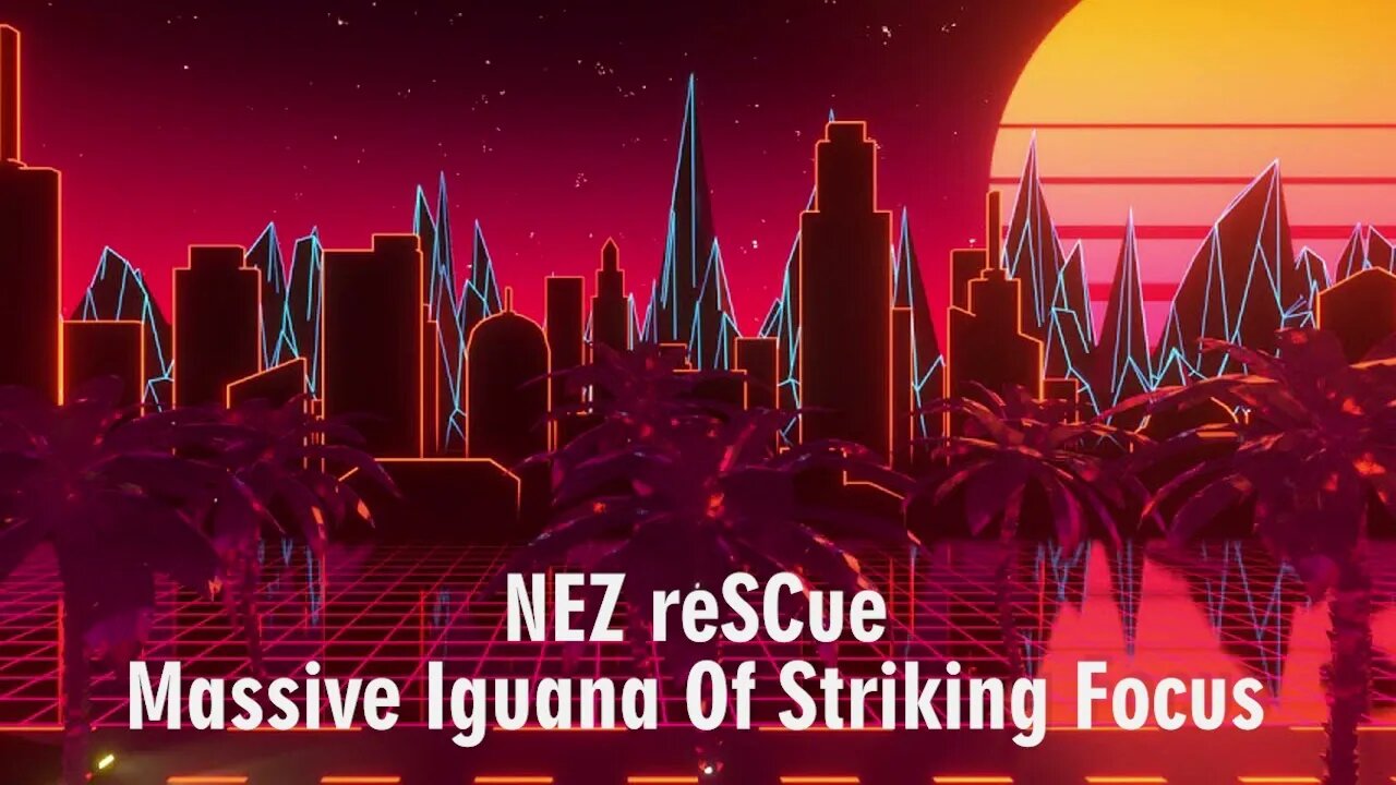 Nez Rescue - Massive Iguana Of Striking Focus (Audio Official)