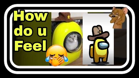 funny cat videos, short videos , compilation