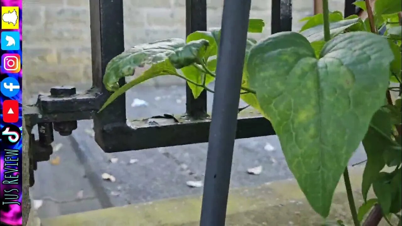 Hidden Garden Geocache