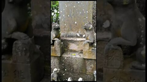 Japan travel .Mimine Shrine Okumiya visit to the mountain where Yamatotakeru climbed #shorts