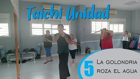 Tai chi Unidad 5 golondrina roza el agua