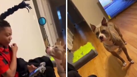 He like wtf 🤣