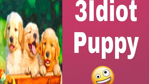 babes Pets is So Cute For Dogs Lovers