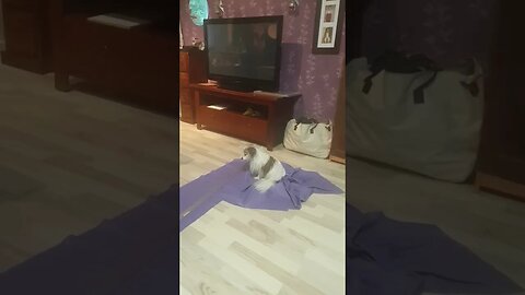 Luna möksähti
