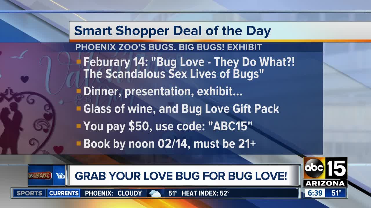 Valentine's Day bug love at the Phoenix Zoo