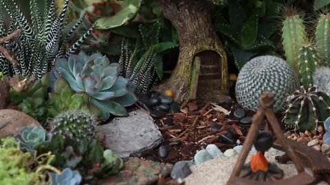 Succulent Treehouse Fairy Garden!