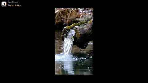 INJOY THE RIVER SOUND