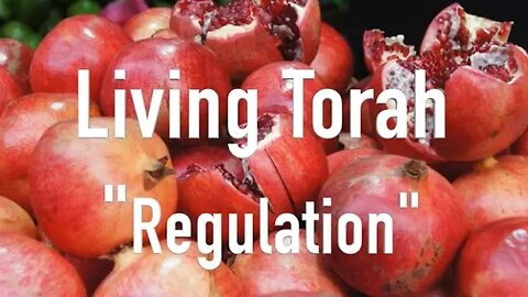 Regulation