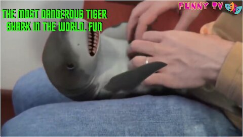 ULTIMATE FUNNY ANIMAL COMPILATIONS,BABY SHARK