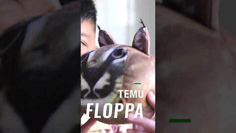 I bought a Floppa on TEMU #temu #floppa