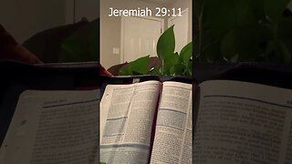 Morning Prayer 4: Jeremiah 29:11