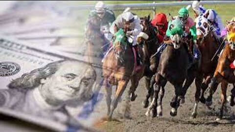 HORSE RACE