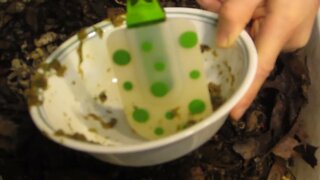 Small worm bin 4 day update - 18 worms?