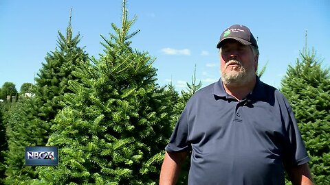 Couple prepares to say goodbye to beloved tree farm