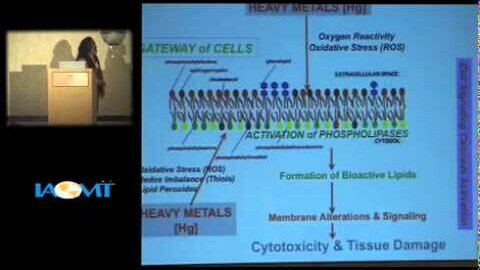 Role of Mercury in Causing Vascular Diseases
