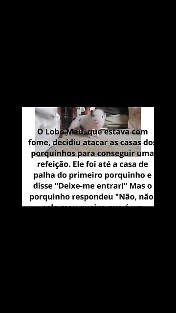 a historia dos 3 porquinhos completo