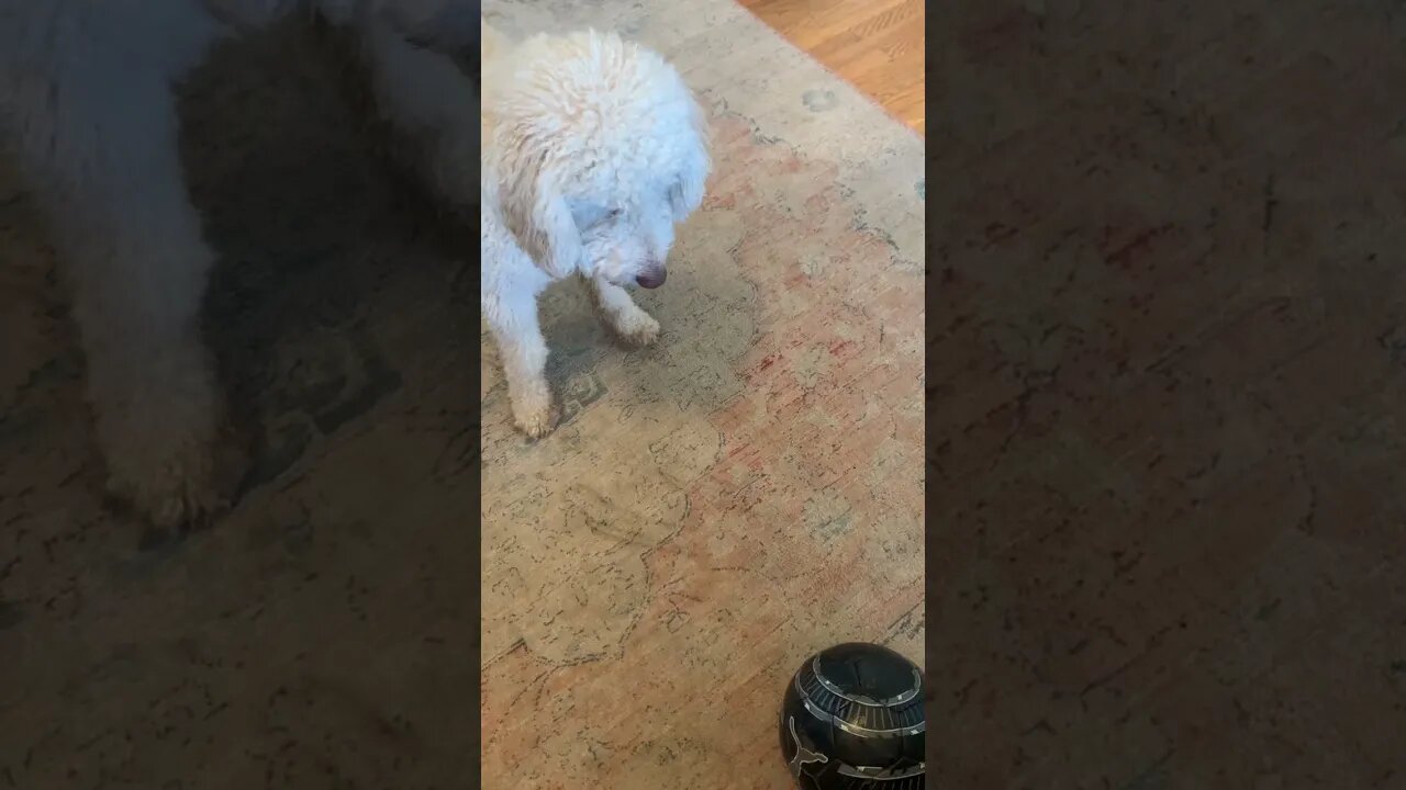Wait for it! Part 2