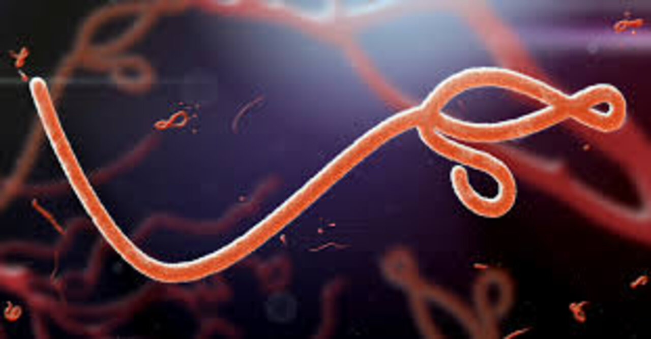 Ebola Will Come To The West Largely Due To Vaccines