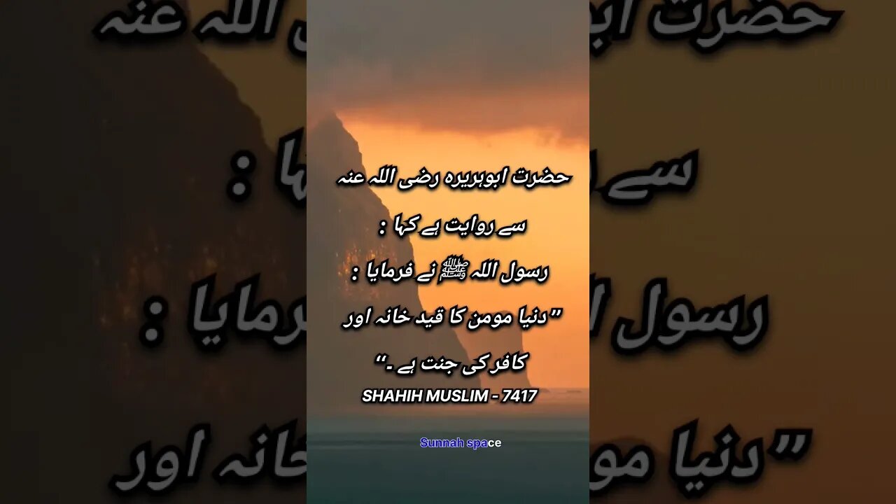 HADITH EP 25♥️#quran #islam #viralvideo #hadiths #subscribe #andrewtate #hadithoftheday #learnislam