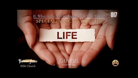 Sanctity of Life | Special Event (Genesis 4:8, The Murder of Abel)