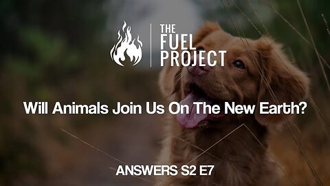 Will Animals Join Us On The New Earth? (Answers S2E7)