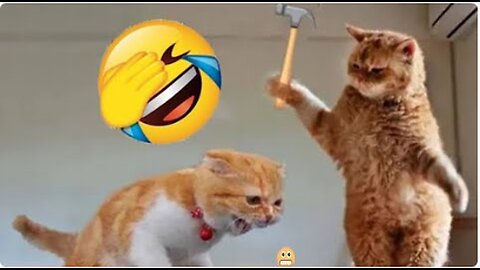 Funniest Animals 2023 😂 | Funniest Cats and Dogs | Part 12