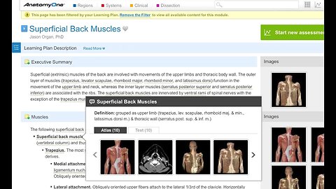 AnatomyOne - Features