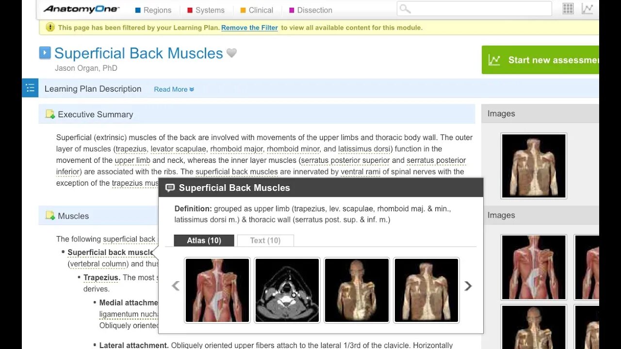 AnatomyOne - Features