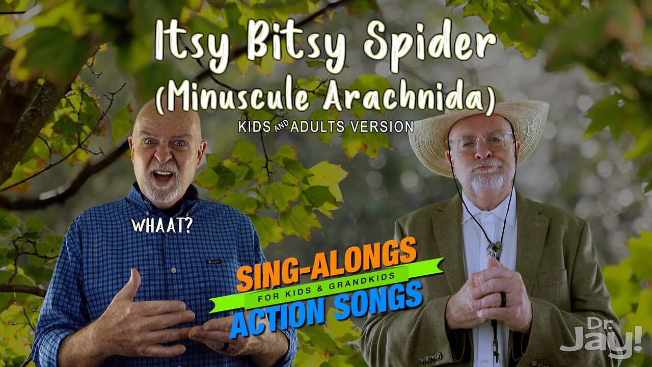 The Itsy Bitsy Spider (Minuscule Arachnida) | DrJay!