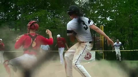 Roy-Hart beats Olean for Section VI baseball title