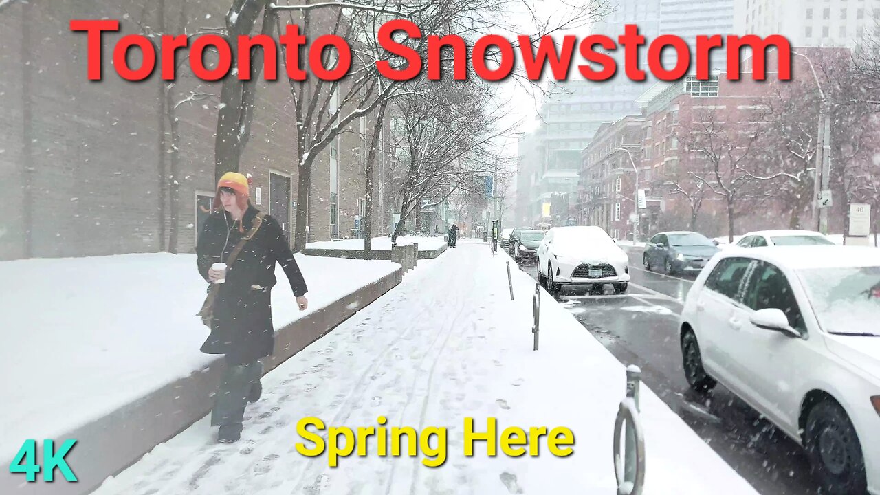 【4K】Snowstorm walk Toronto Canada 🇨🇦 Downtown Snowfall walk