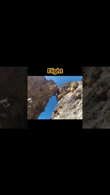 Watch #Crazy #WingSuit #Flight #Cave #pilot