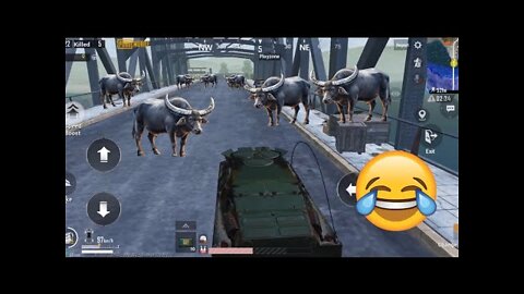 PUBG MOBILE FUNNY MOMENTS🤣🤣