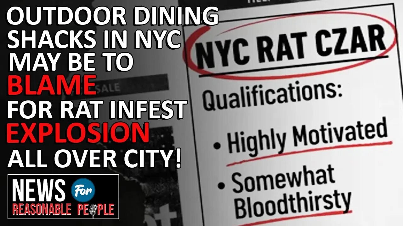 NYC posts ad for "Rat Czar" as the rodent population explodes post-covid