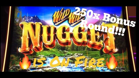 WILD WILD Nugget. $7000 Bonus Round! Up to $50 bets!