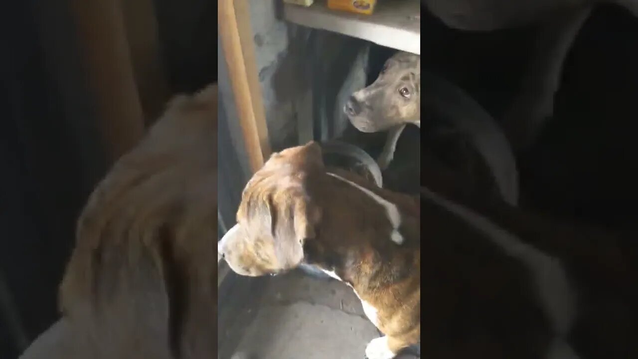 My Doors Last Moments